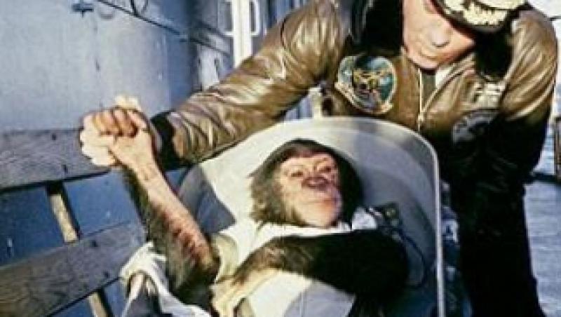 Ham, primul cimpanzeu care a ajuns in spatiu!