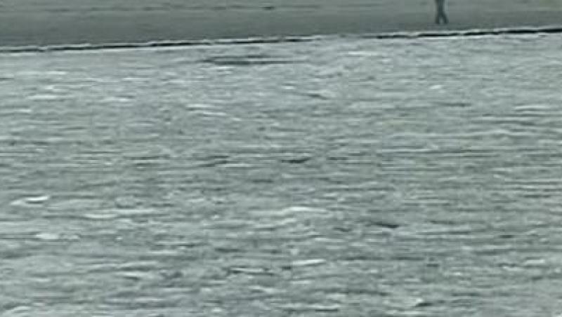 VIDEO! Gerul cumplit nu se lasa. Marea Neagra a inghetat pe o portiune de 20m de la mal!
