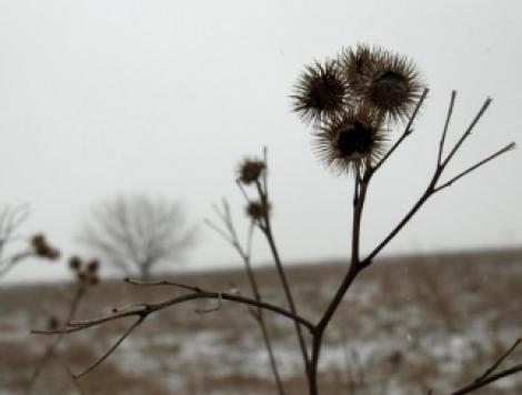 Temperaturi de primavara in weekend. Vezi prognoza!