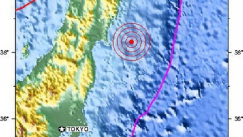 Japonia, una dintre cele mai active zone seismice din lume