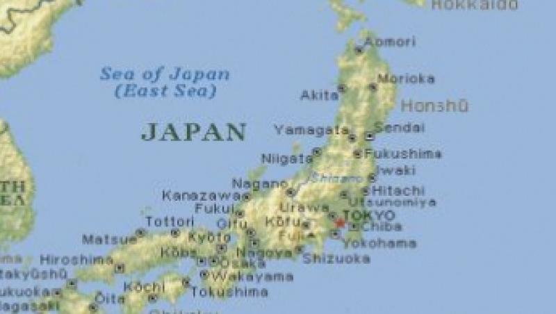 Seismul din Japonia ar fi deplasat cu 2,4 metri insula Honshu