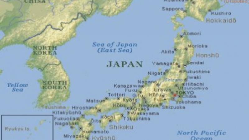 Seismul din Japonia ar fi deplasat cu 2,4 metri insula Honshu