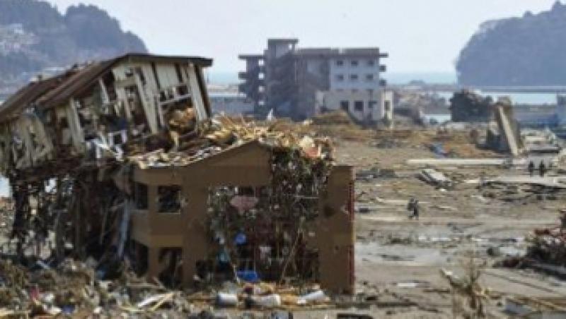 Pagubele cutremurului din Japonia: peste 35 mld. $!