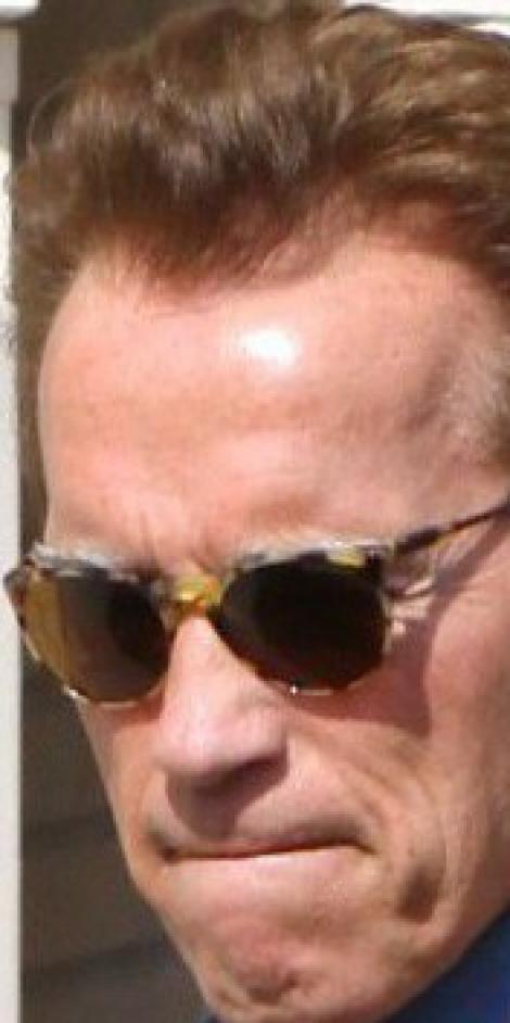 Arnold Schwarzenegger revine in showbiz