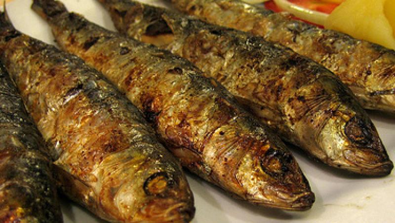 VIDEO! Reteta: zargan si sardine la gratar