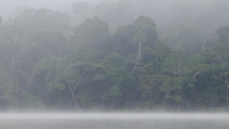 Calatorie in natura: Bazinul Central al Amazonului