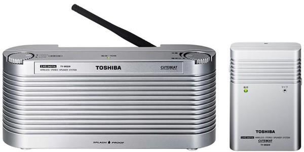 Toshiba's TY-WSD9 - multimedia sub dus