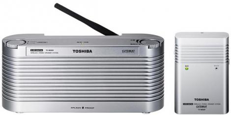 Toshiba's TY-WSD9 - multimedia sub dus