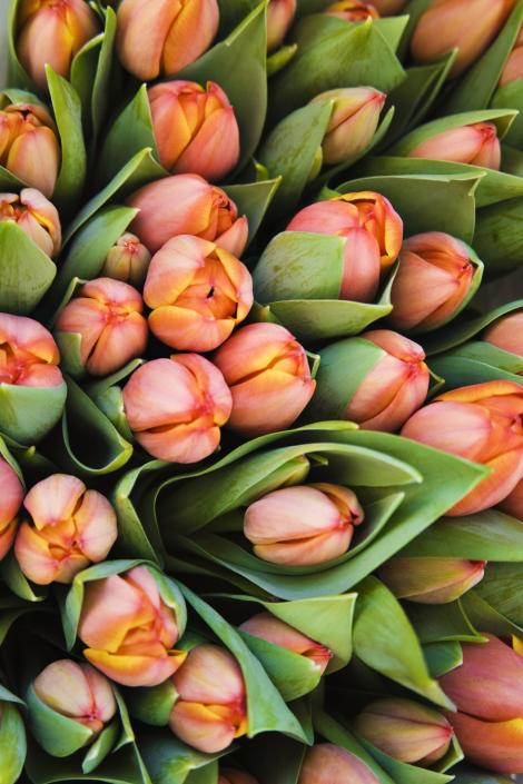 VIDEO! De 8 martie, florile se vand la preturi duble