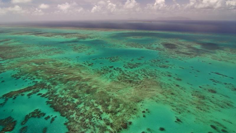 FOTO! Calatorie in universul acvatic: Marea Bariera de Corali