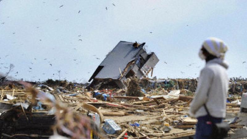 Japonezii predau la politie bani si obiecte de valoare gasite printre resturile lasate de tsunami