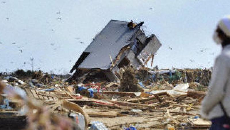 Japonezii predau la politie bani si obiecte de valoare gasite printre resturile lasate de tsunami