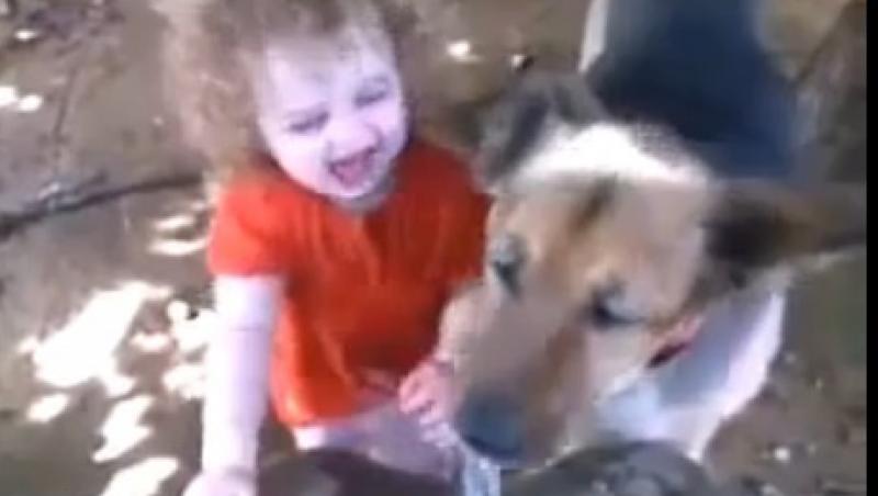 VIDEO! Un caine face glume pe seama unei fetite