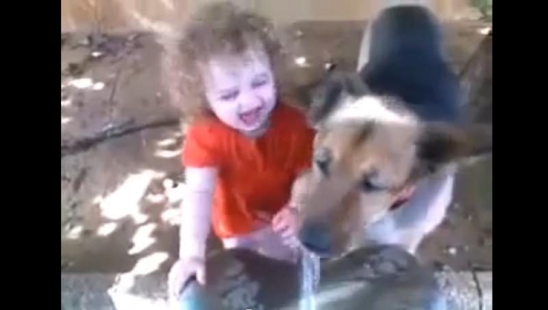 VIDEO! Un caine face glume pe seama unei fetite