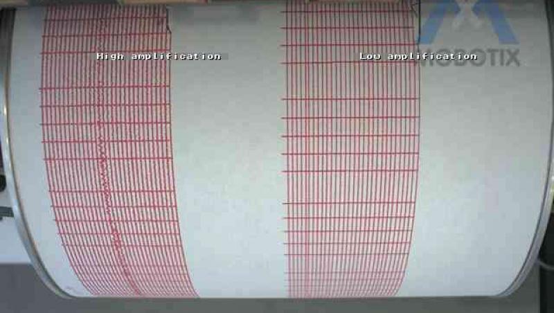 Un cutremur de 7.1 grade s-a produs in Japonia