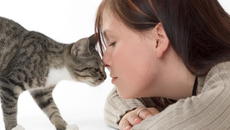 Femeile insarcinate si contactul cu pisicile - pericol de toxoplasmoza