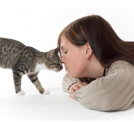 Femeile insarcinate si contactul cu pisicile - pericol de toxoplasmoza