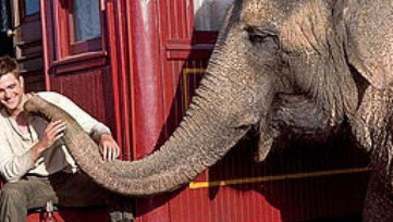 Robert Pattinson a plans dupa un elefant!