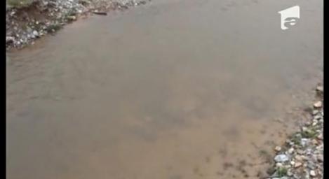 VIDEO! Un preot din Caras-Severin a lasat enoriasii fara apa potabila
