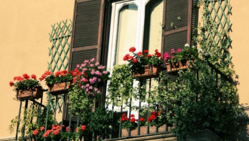 FOTO! Decoreaza-ti balconul cu flori!