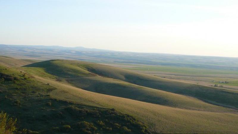 Liber la asfaltarea ariilor naturale protejate