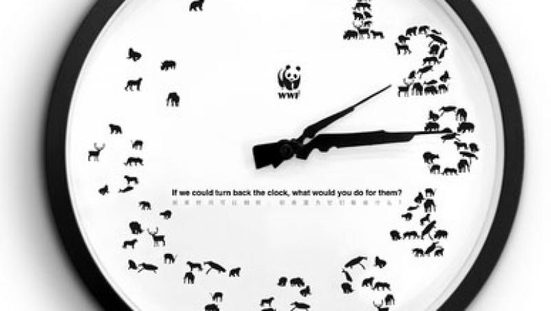 Ceasul de perete - masurarea timpului cu stil