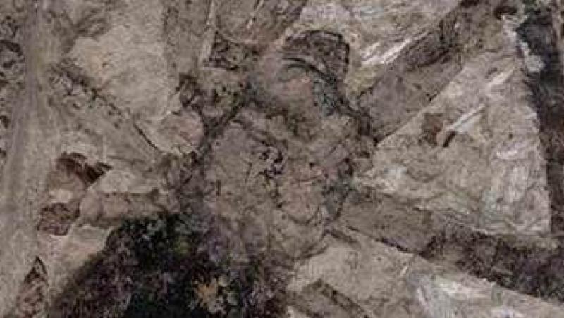Paianjen conservat perfect timp de 165 de milioane de ani