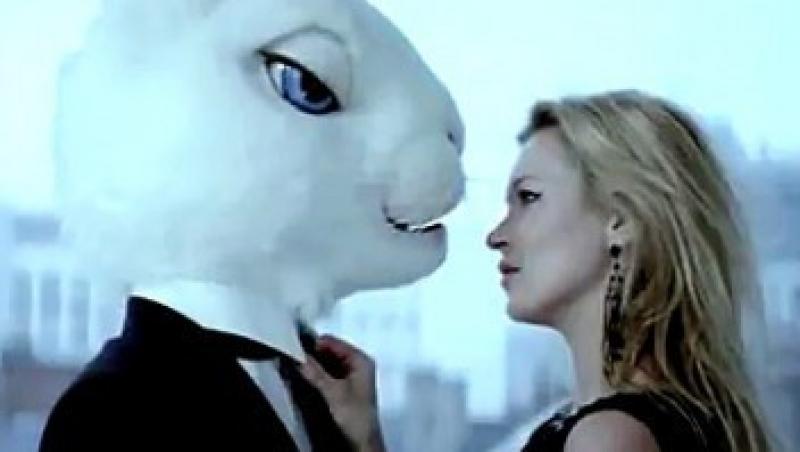 VIDEO! Vezi cum seduce Kate Moss un iepure
