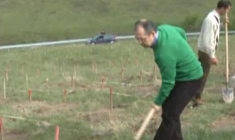 VIDEO! Emil Boc, la plantat de copaci