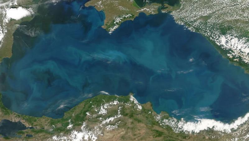 Ecosistemul Marii Negre, puternic afectat de turism si pescuit