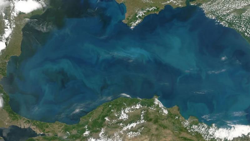 Ecosistemul Marii Negre, puternic afectat de turism si pescuit