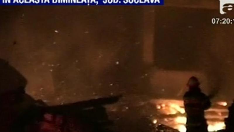 VIDEO! Suceava: Fabrica de cherestea, distrusa de un incendiu puternic