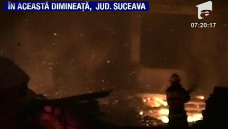 VIDEO! Suceava: Fabrica de cherestea, distrusa de un incendiu puternic