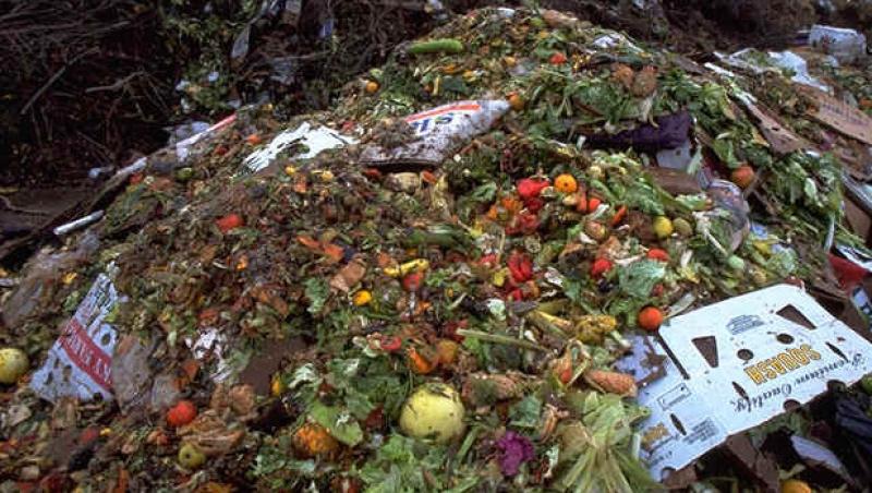 O treime din productia mondiala de alimente ajunge la gunoi