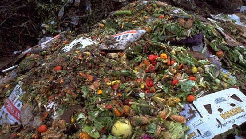 O treime din productia mondiala de alimente ajunge la gunoi