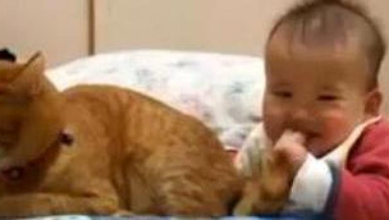 VIDEO! Un baietel foloseste coada de pisica pe post de suzeta