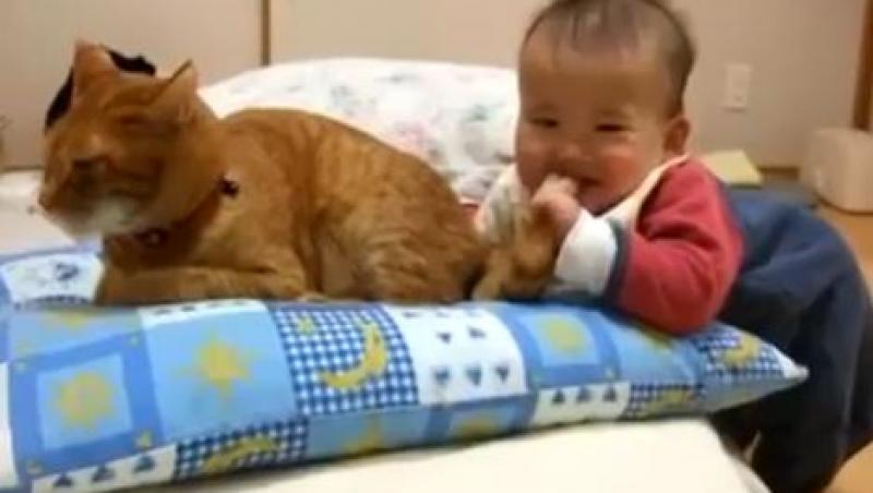 VIDEO! Un baietel foloseste coada de pisica pe post de suzeta