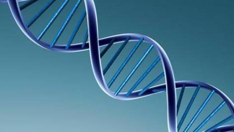 Exista gene extraterestre in ADN-ul uman?