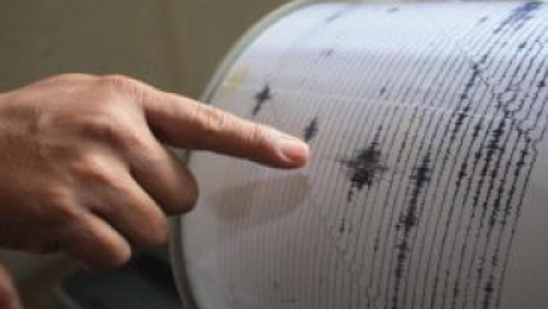 Un cutremur cu magnitudinea de 3,1 grade a avut loc in Campia Romana
