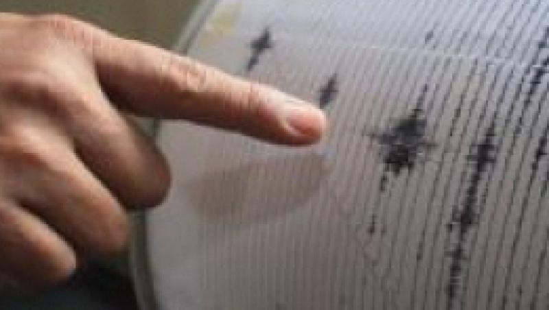 Un cutremur cu magnitudinea de 3,1 grade a avut loc in Campia Romana