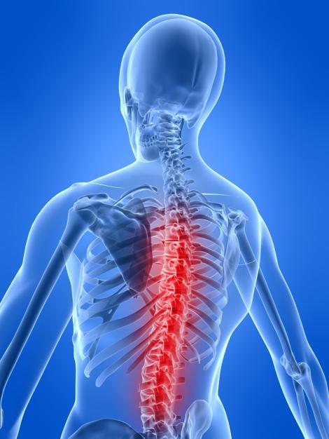 Ce trebuie sa stii despre coloana vertebrala