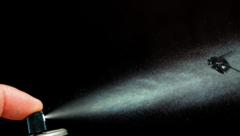 Atentie la spray-urile antigandaci! Pot provoca alergii copiilor!