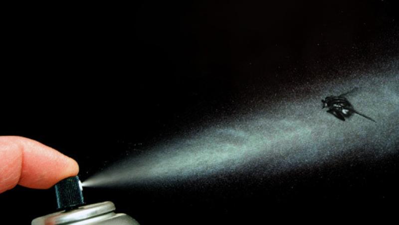 Atentie la spray-urile antigandaci! Pot provoca alergii copiilor!