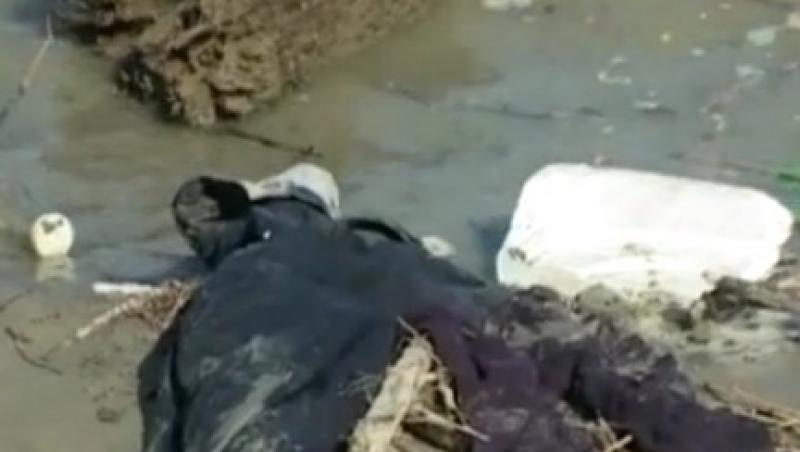 VIDEO! Doi copii au murit inecati in Dunare
