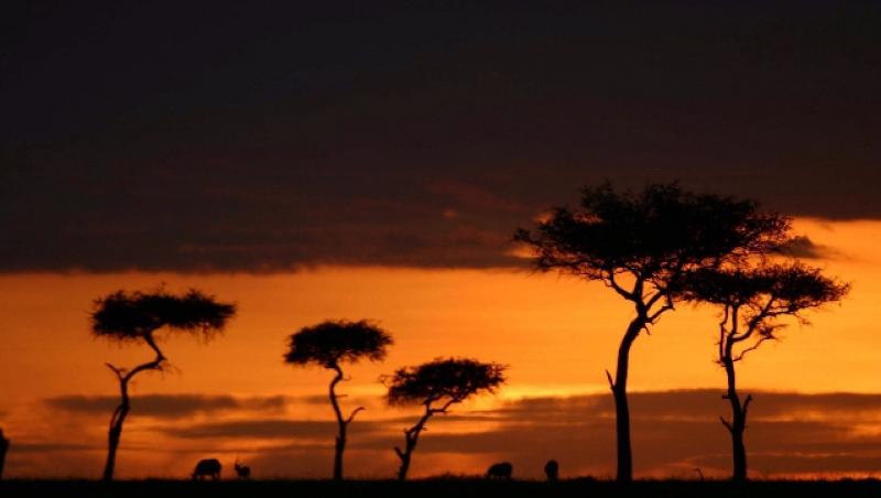 VIDEO!  Kenya, destinatia ideala pentru o vacanta de neuitat