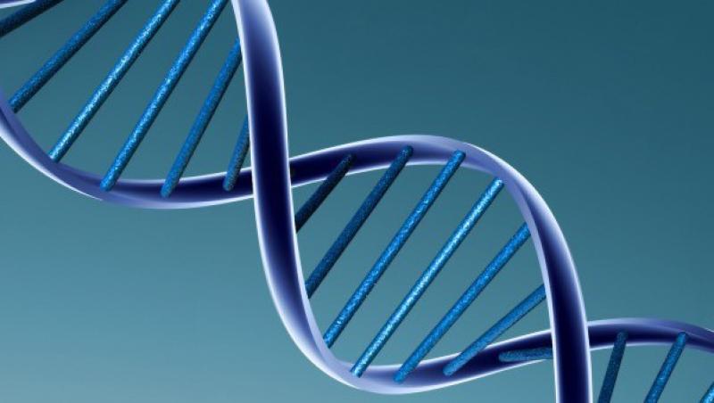 Mediul de viata afecteaza ADN-ul uman