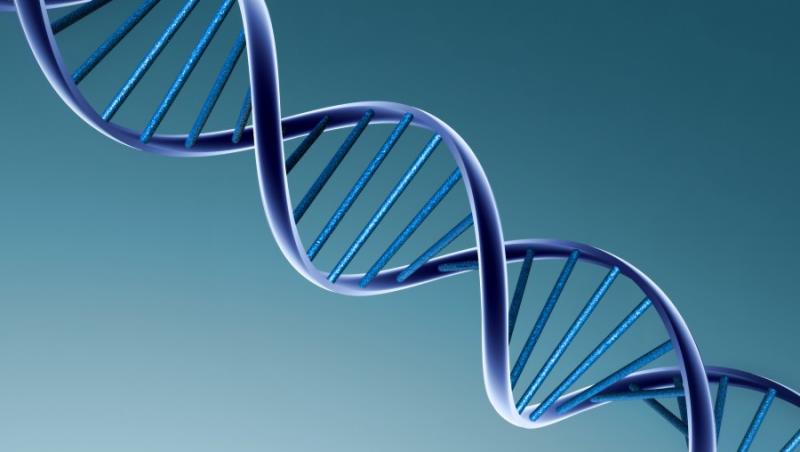 Mediul de viata afecteaza ADN-ul uman