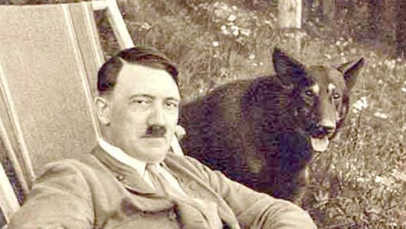 Nazistii dresau caini pentru a castiga Al Doilea Razboi Mondial - Wooffan SS