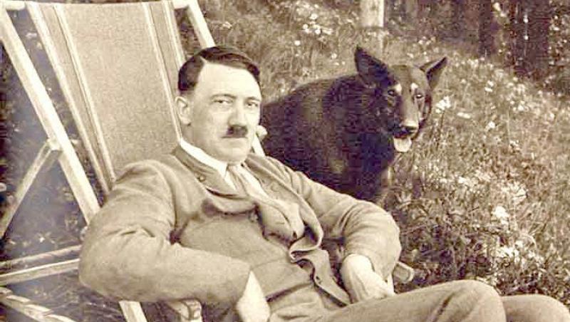 Nazistii dresau caini pentru a castiga Al Doilea Razboi Mondial - Wooffan SS