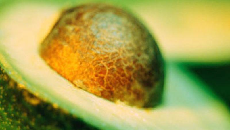 De ce e avocado cel mai sanatos fruct pentru copii